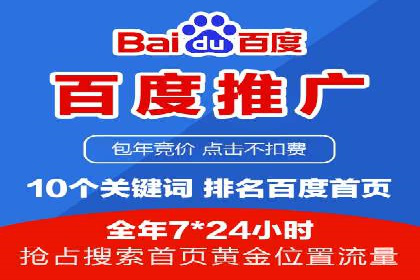 百度竞价包年服务：某行业领导品牌的成功故事